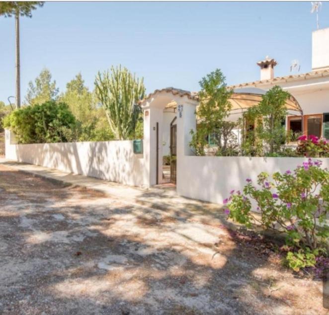 Ferienhaus Casa Cactus