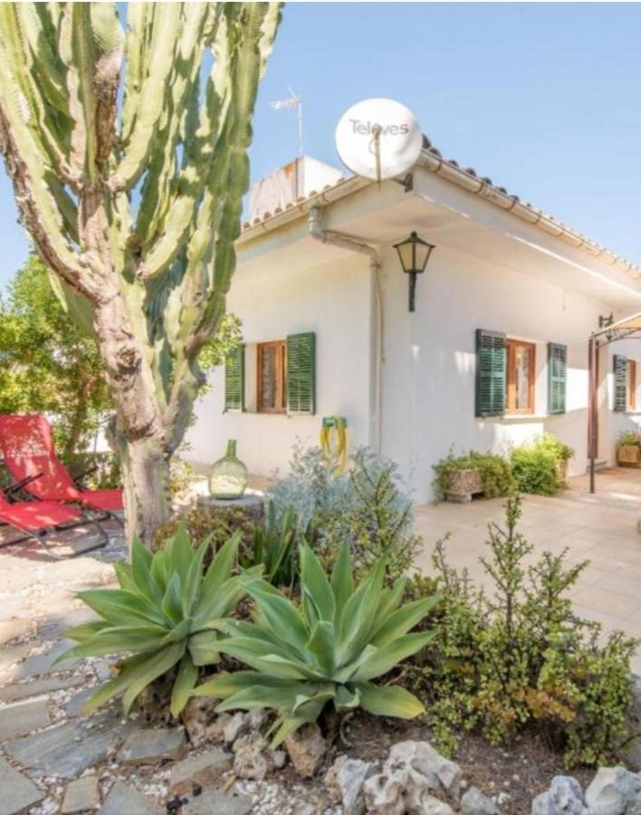 Casa Cactus Can Picafort (Mallorca)